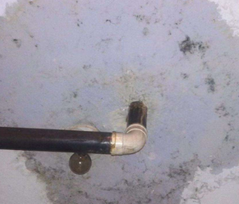 滨海新卫生间防水哪家好