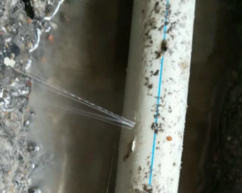 滨海新卫生间测漏水多少钱