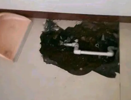 滨海新卫生间测漏水多少钱