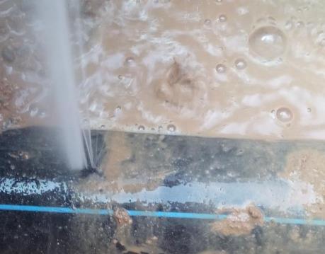 滨海新卫生间防水哪家好